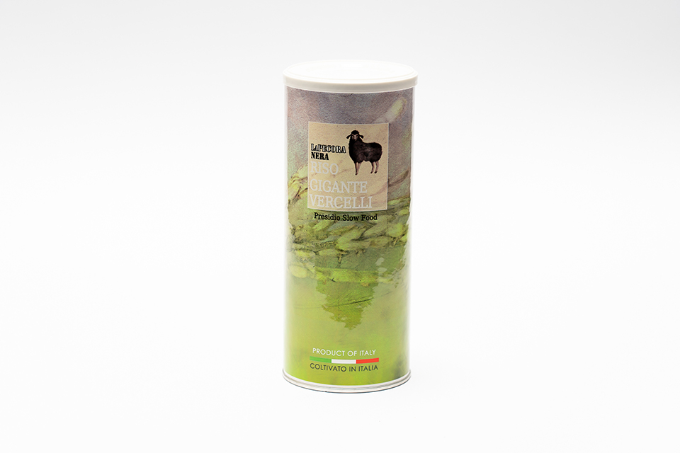 riso gigante di vercelli