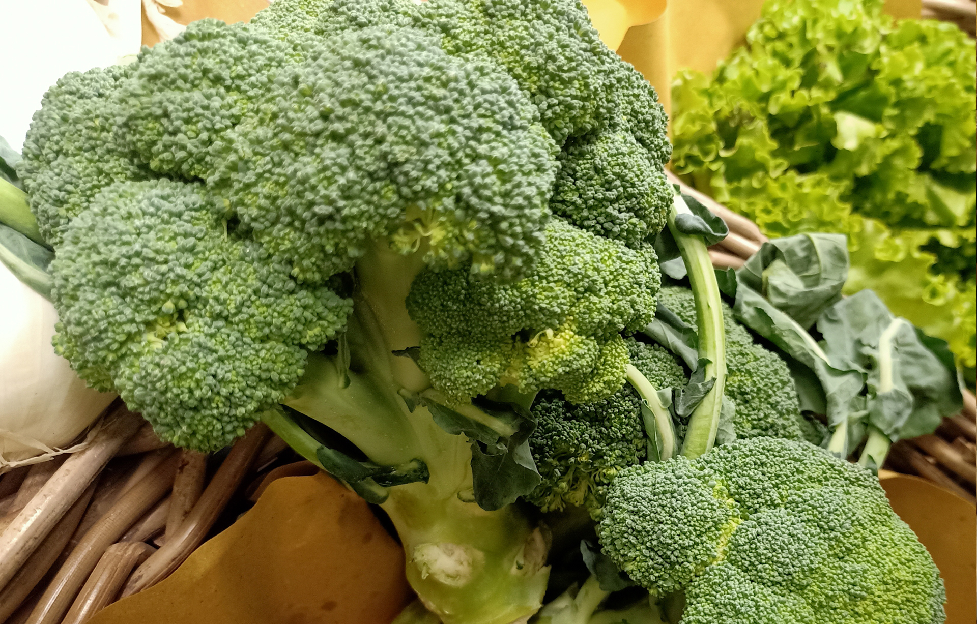 Ortaggi coltivati alla Cascina a Cerrione