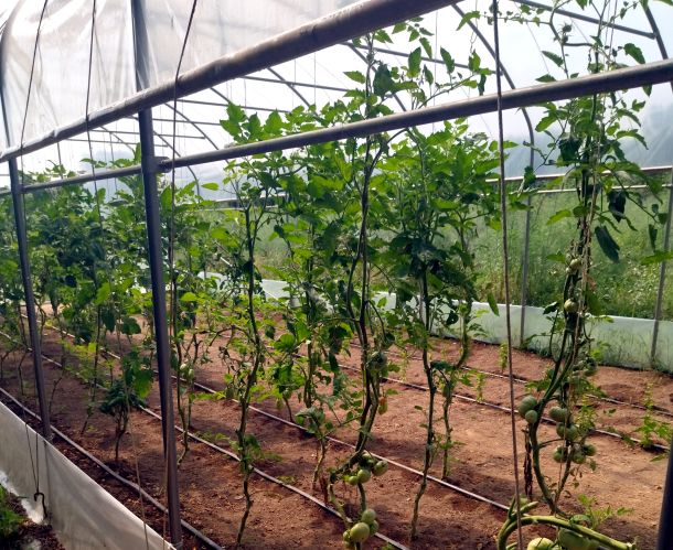 associazione Itaca progetto re-born